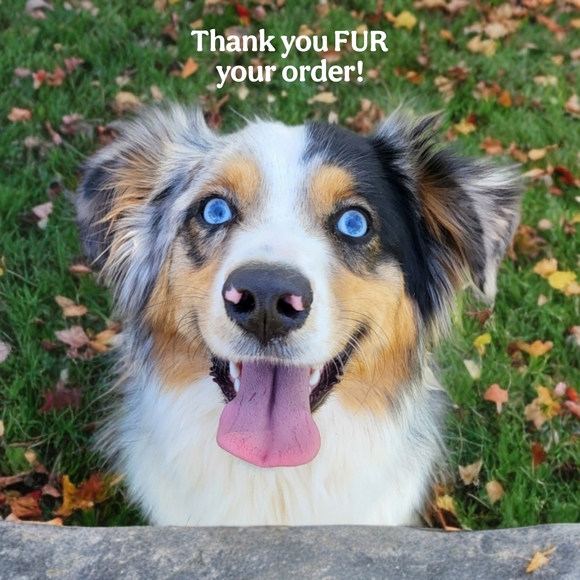 🌿Philosophy Women's Small Black & White Polka Dot Flared Shoulder Top - Picture 12 of 12